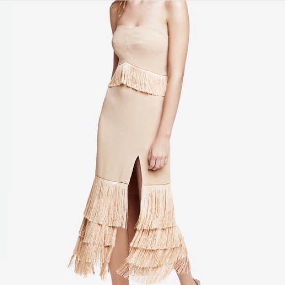 Jonathan Simkhai FW 2016 Nude Fringe Strapless Dress - Picture 3 of 9